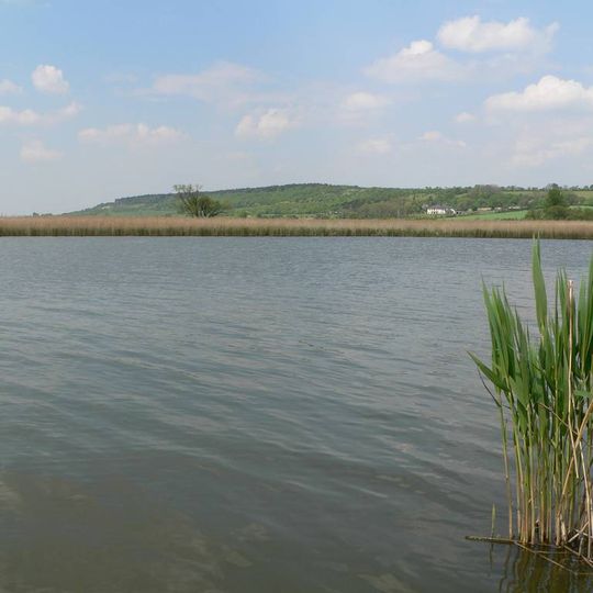 Ptačí oblast Žehuňský rybník – Obora Kněžičky