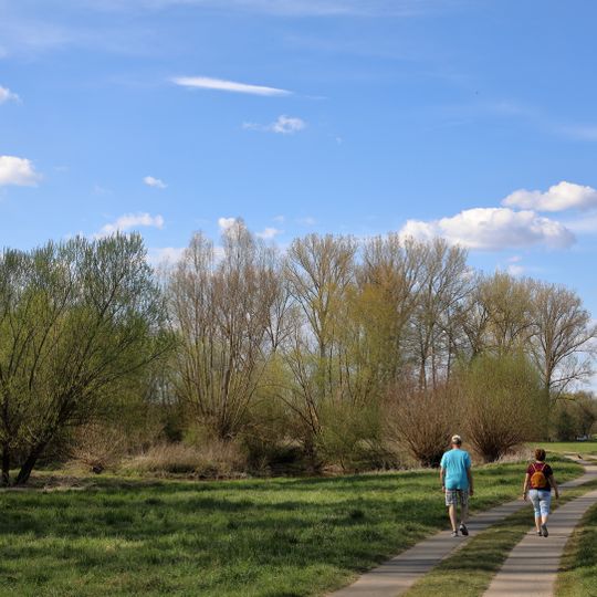 Feuchtgebiet Altwasser Deckwasen
