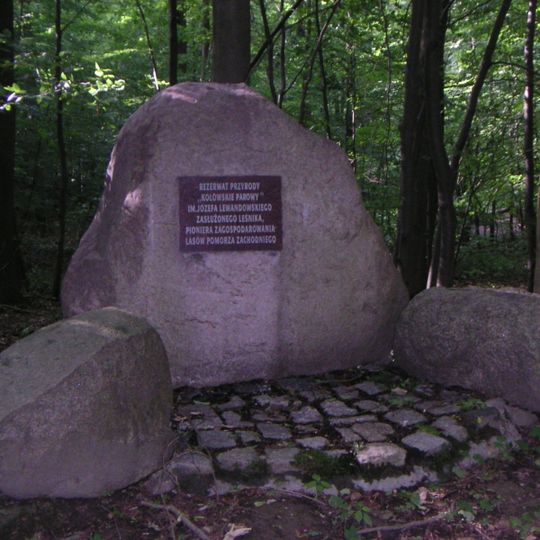 Nature reserve Kołowskie Parowy