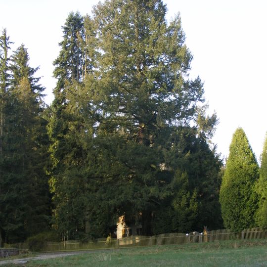 Douglaska na Třech trubkách