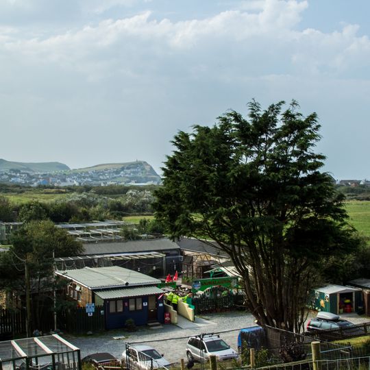 Borth Wild Animal Kingdom