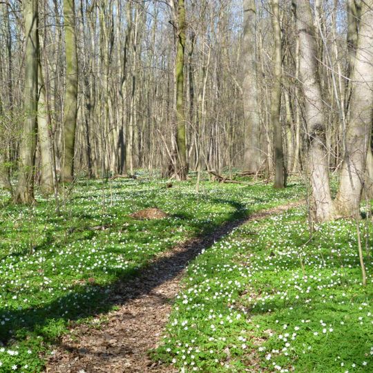 Klüdener Pax-Wanneweh