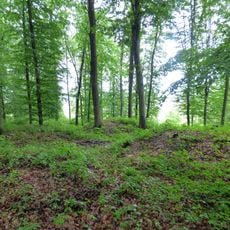 Östliches Hügelgräberfeld am Steinberg, Feldbach