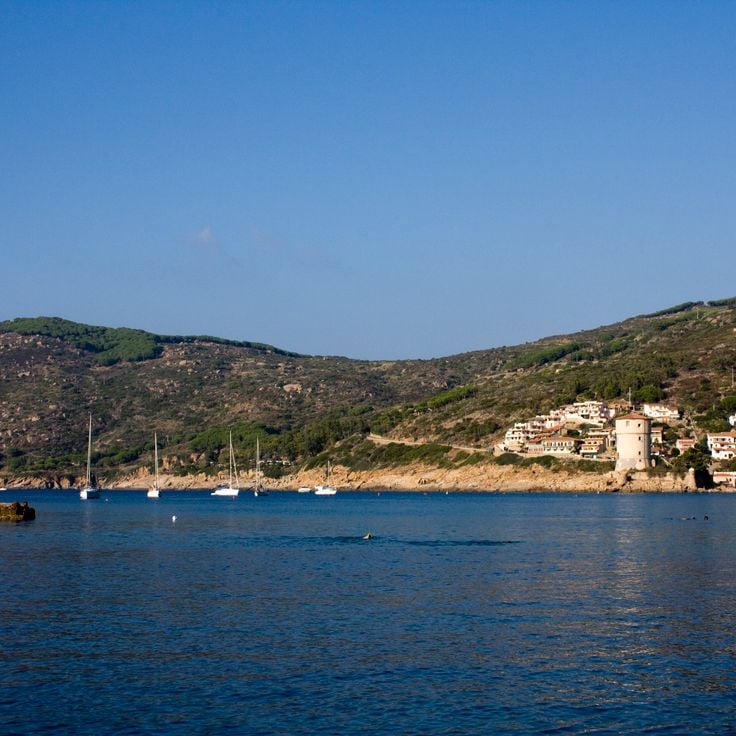 Giglio