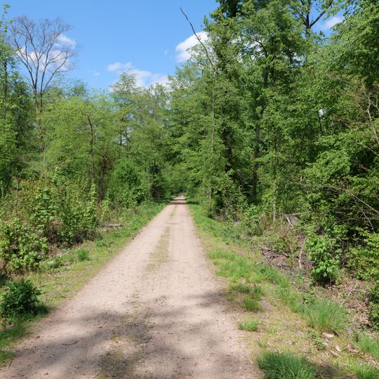 Brieselang