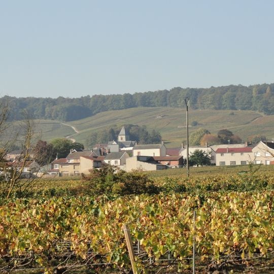 Le Mesnil-sur-Oger
