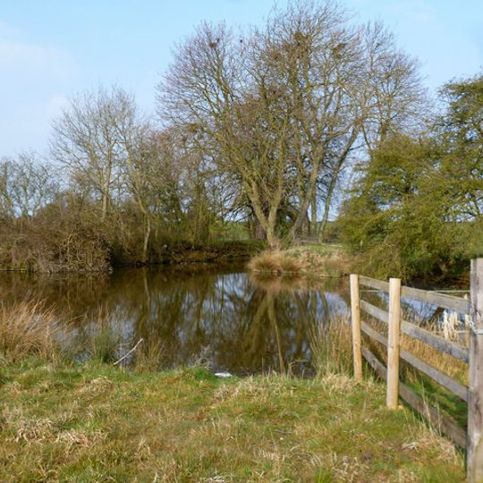 Medieval fishpond complex, 80m south west of Manor House