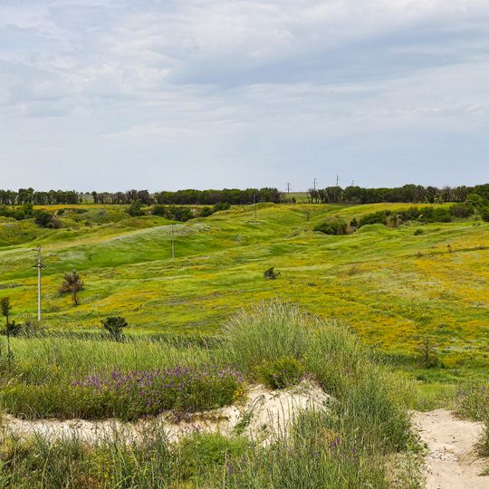 Причепилівська