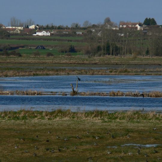 West Sedgemoor