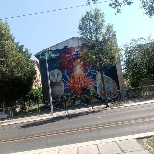 Mur Newi