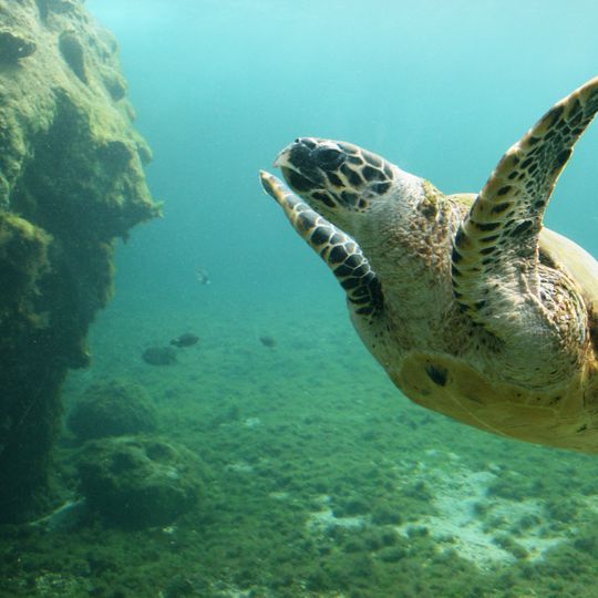 Wuthathi National Park