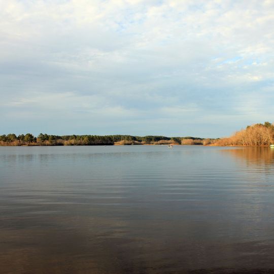 Reed Bingham State Park