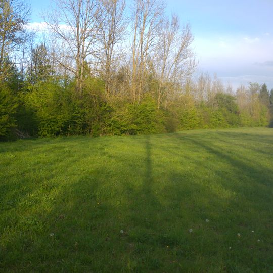 Kuhseegebiet beim Hochablaßwehr