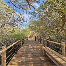 Visit Center of Khor Kalba Mangrove Reserve