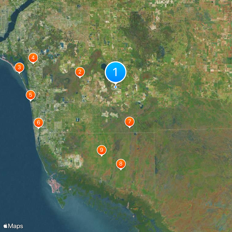 Universidad Ave María Mapa