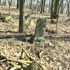 Hraniční kámen u lesní cesty severně od Lučního Chvojna