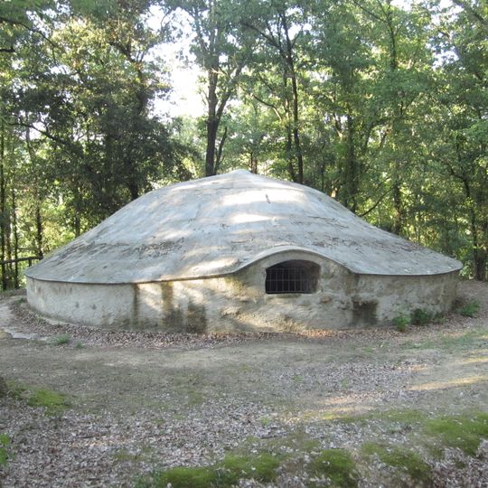 Pou de Glaç de Buscastell