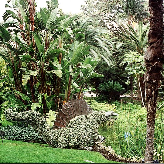 Little Africa Gardens