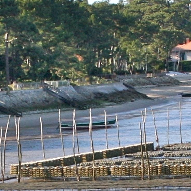 Le Médoc (Intérieur)