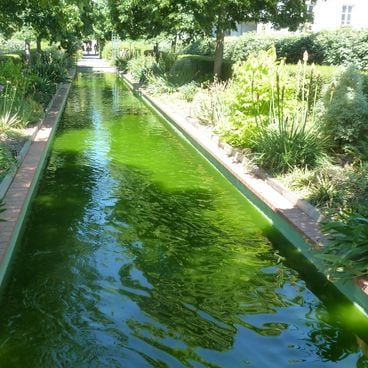 Lugares turísticos de París: sitios alternativos, museos ocultos, barrios locales