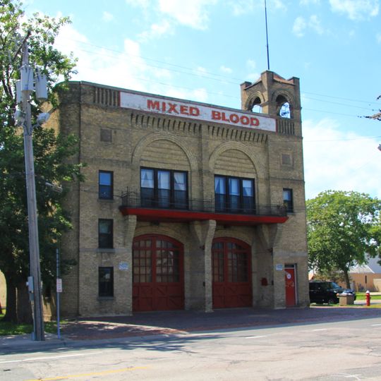 Mixed Blood Theatre Company