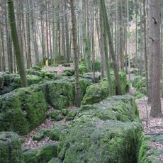 Druidenhain