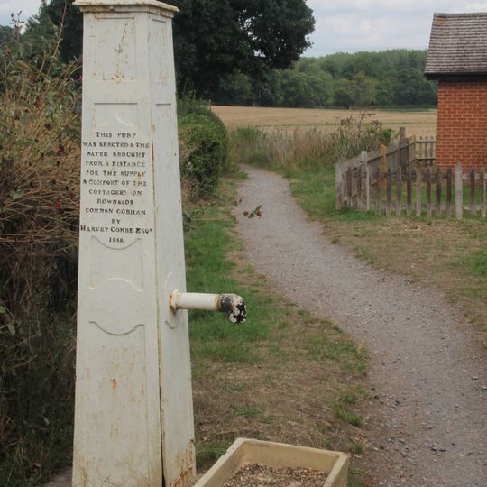 Village Pump