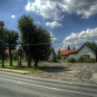 Srbín