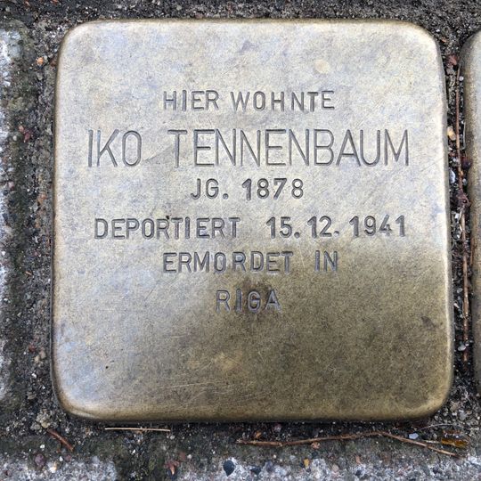 Stolperstein en memoria de Iko Tennenbaum