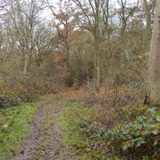 Wistow Wood