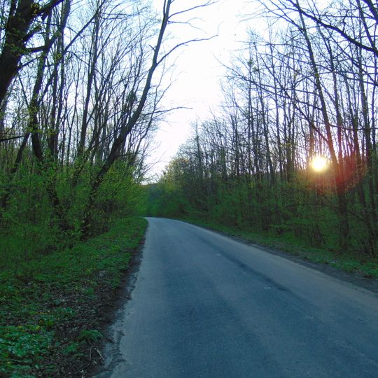 Maiac'ka dacha botanical natural monument