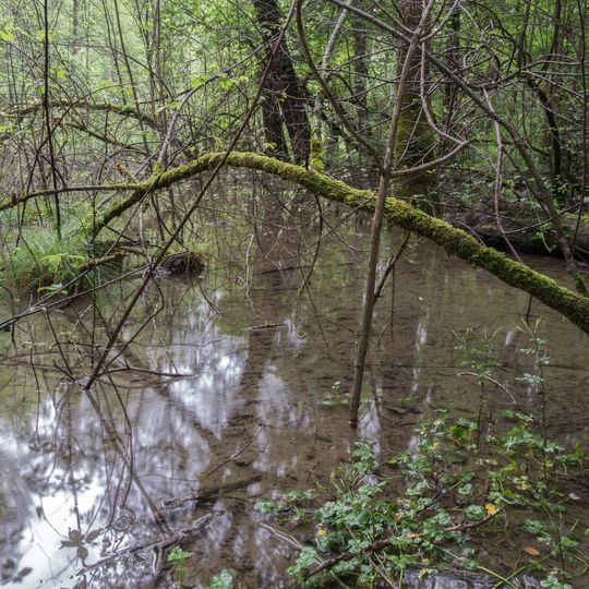 Heiligensteiner-Au Kuchl