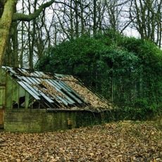 Zionsburg: druivenkas