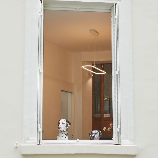 Barkers and Brothers