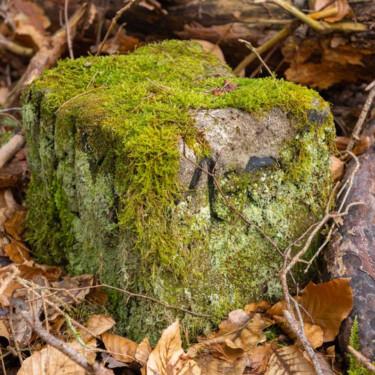 Grenzstein Fürther Stadtwald in Fürth