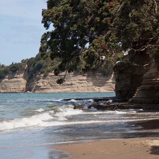Hibiscus Coast