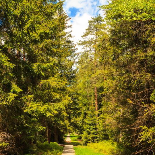 Dářská rašeliniště