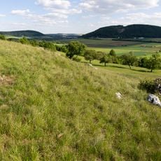 Bergkuppe des Bubenheimer Berges E von Bubenheim