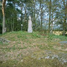 Västergötlands runinskrifter 115