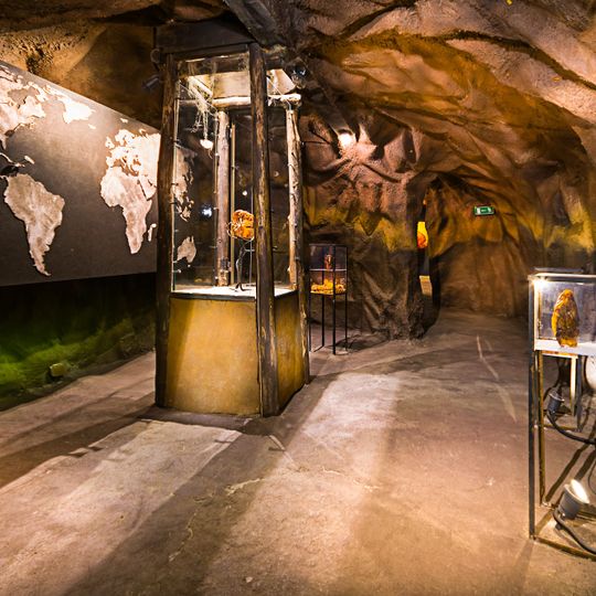 Amber Museum