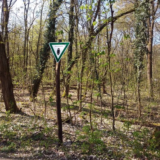 Müggelsee/Fredersdorfer Mühlenfließ