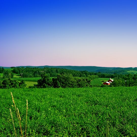 Upper Mount Bethel Township