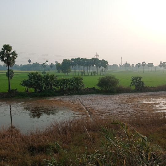 Saran District