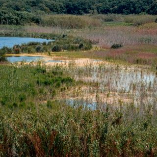 Riserva naturale integrale Lago Preola e Gorghi Tondi
