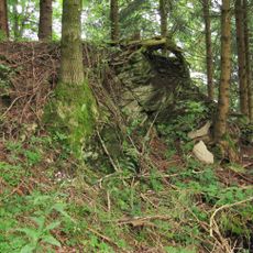 Burgstall Wachsenegg