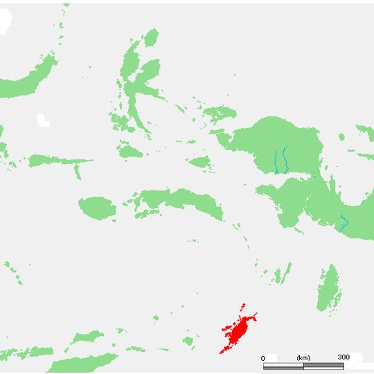 Tanimbar Islands