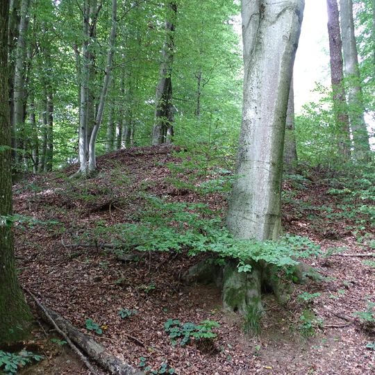 Hügelgräbergruppe in Mantscha