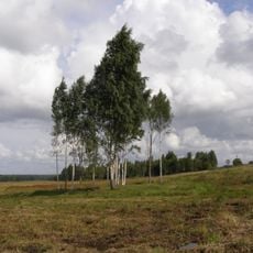 Sūdėnų pilkapynas