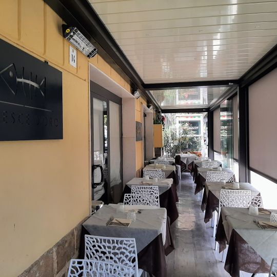 Il Pesce d'Oro