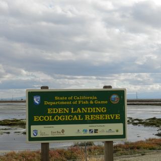 Eden Landing Ecological Reserve